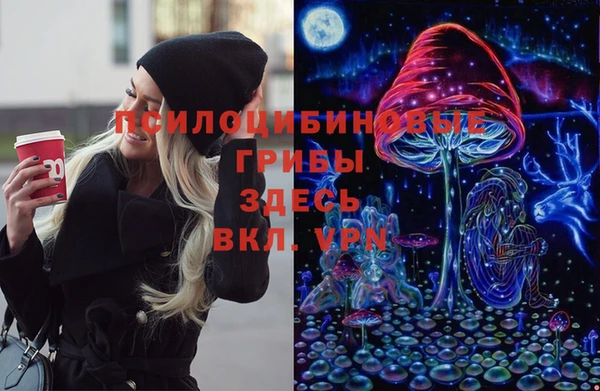 метадон Алексин