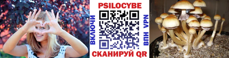 Галлюциногенные грибы Magic Shrooms  Белебей 