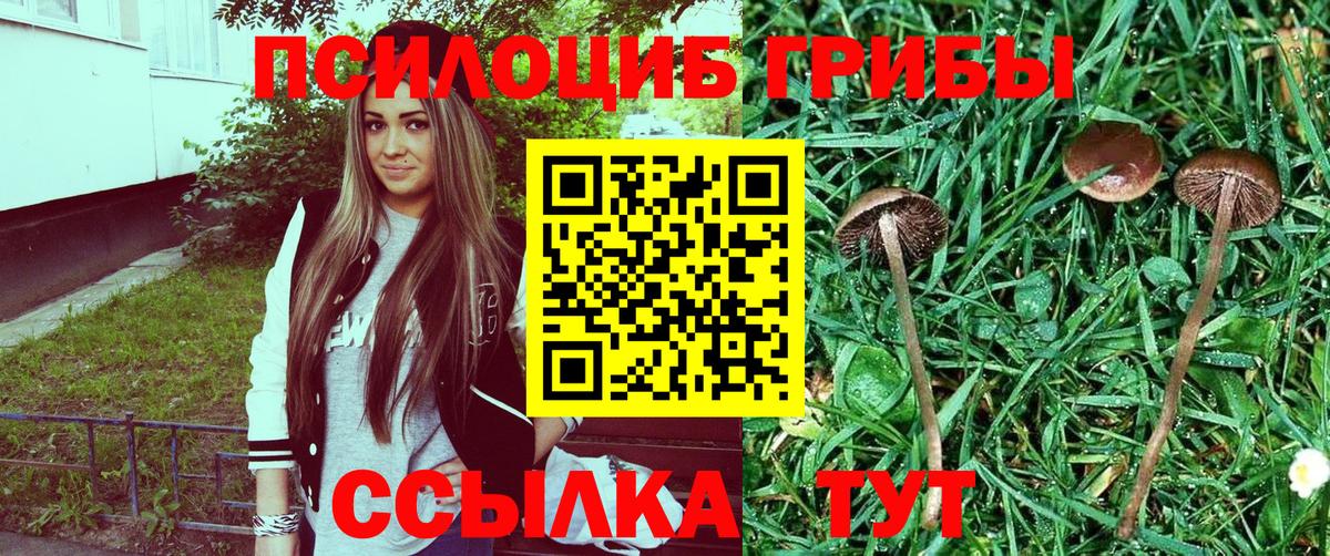 Псилоцибиновые грибы Psilocybe  Галлюциногенные грибы Psilocybine cubensis  Белебей  Вход с VPN 